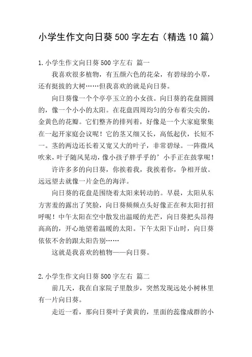 小学生作文向日葵500字左右(精选10篇)