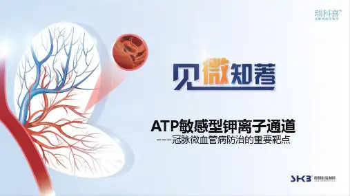 瑞科喜