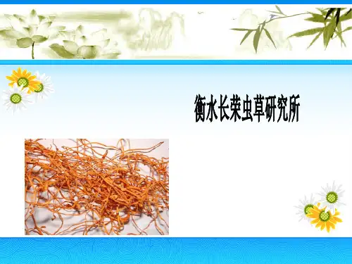 冬虫夏草介绍PPT