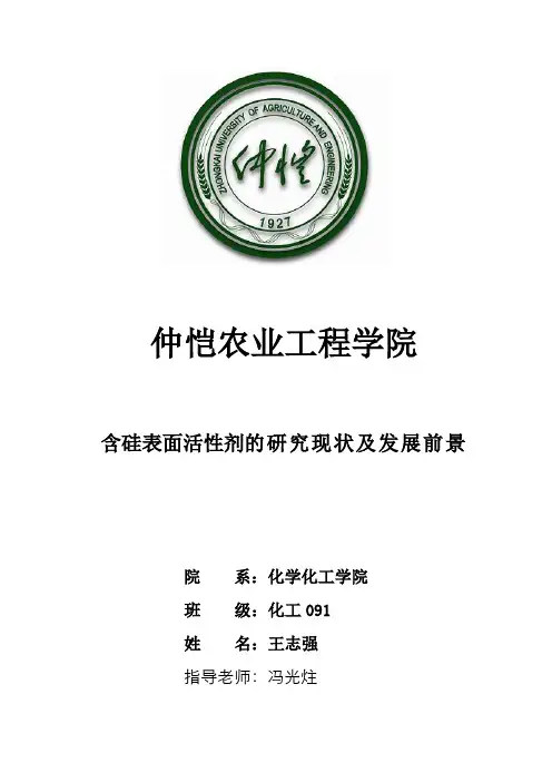 含硅新型表面活性剂