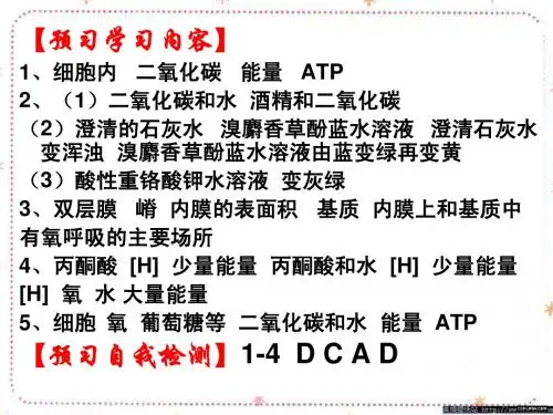 5-3 ATP的主要来源—细胞呼吸1