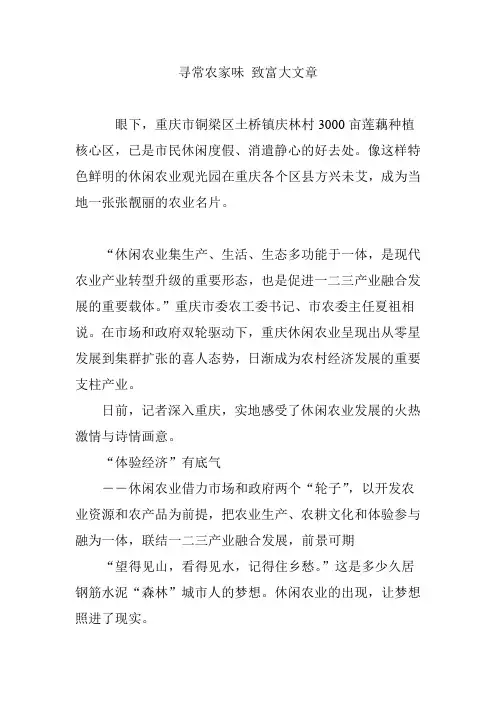 寻常农家味 致富大文章