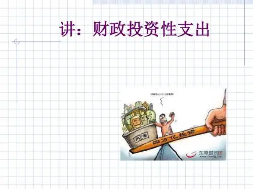 财政学之投资性支出培训讲义(PPT 45张)