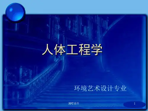 人体工程学  ppt课件