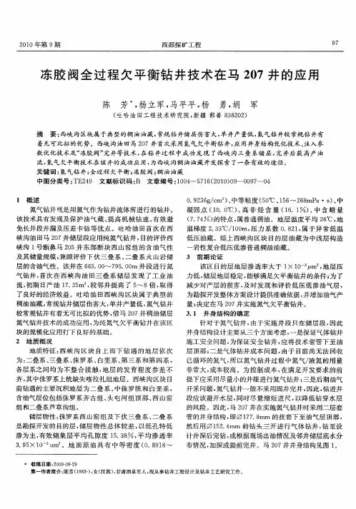 冻胶阀全过程欠平衡钻井技术在马207井的应用
