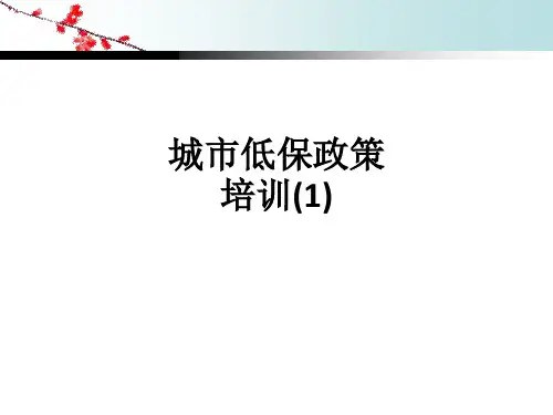 城市低保政策培训(1)ppt课件