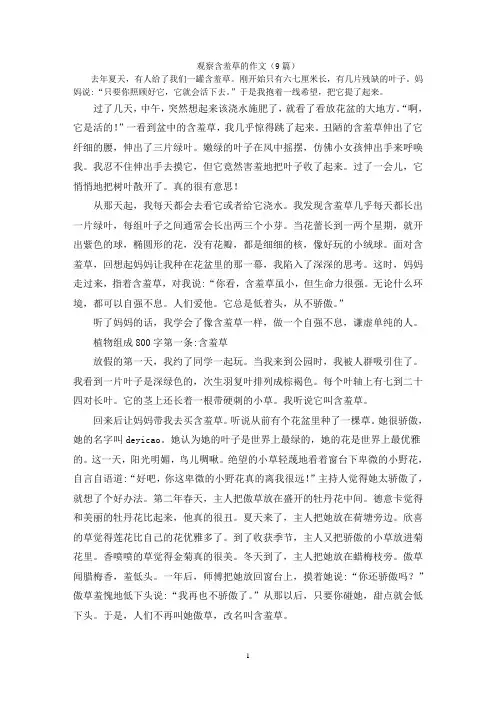 观察含羞草的作文(9篇)