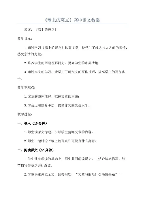 《墙上的斑点》高中语文教案