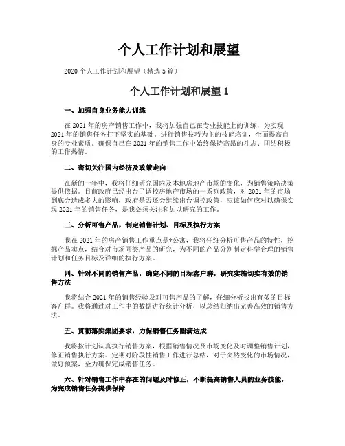 个人工作计划和展望
