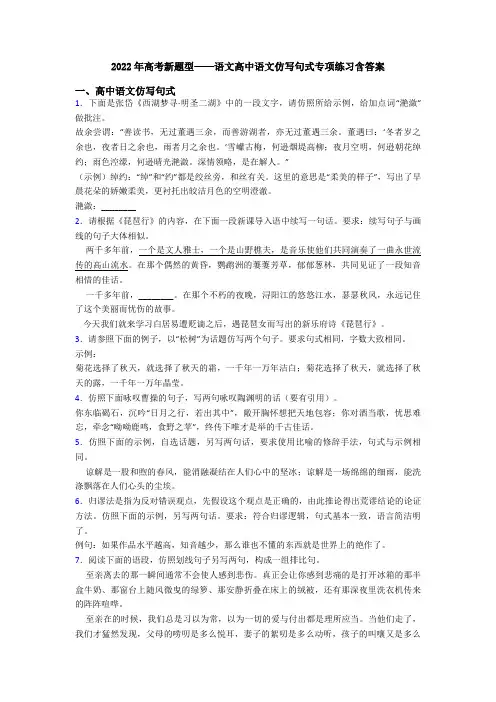 2022年高考新题型——语文高中语文仿写句式专项练习含答案