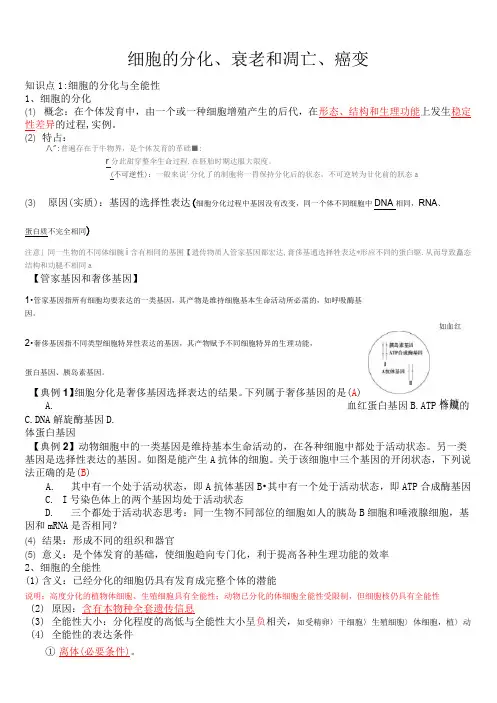 细胞的分化、衰老和凋亡、癌变一轮复习教学案
