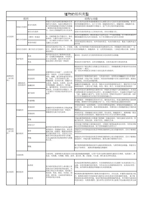 植物组织的类型