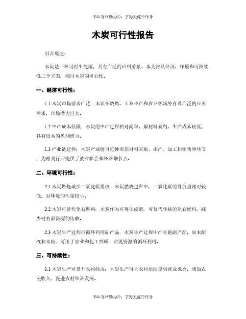 木炭可行性报告