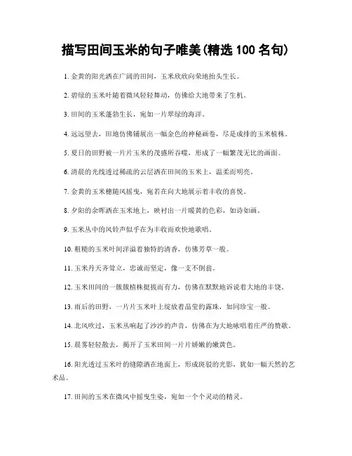 描写田间玉米的句子唯美(精选100句)
