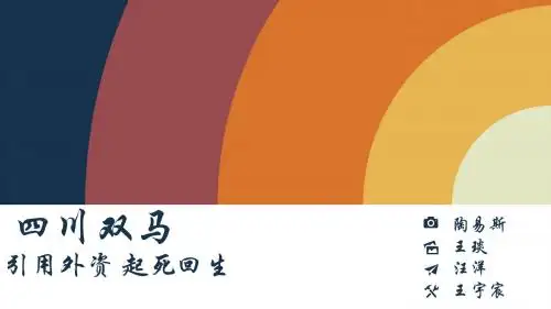 第2组双马引用外资案例分析