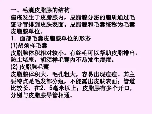 8抗痤疮类化妆品