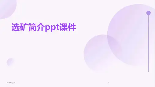选矿简介ppt课件-2024鲜版
