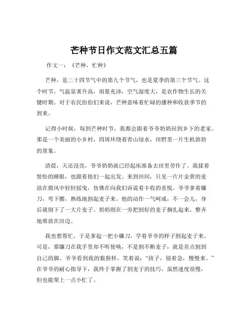 芒种节日作文范文汇总五篇