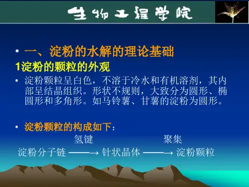 淀粉水解糖制备1-已看
