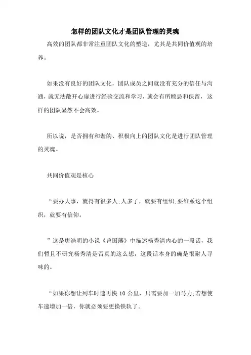 怎样的团队文化才是团队管理的灵魂