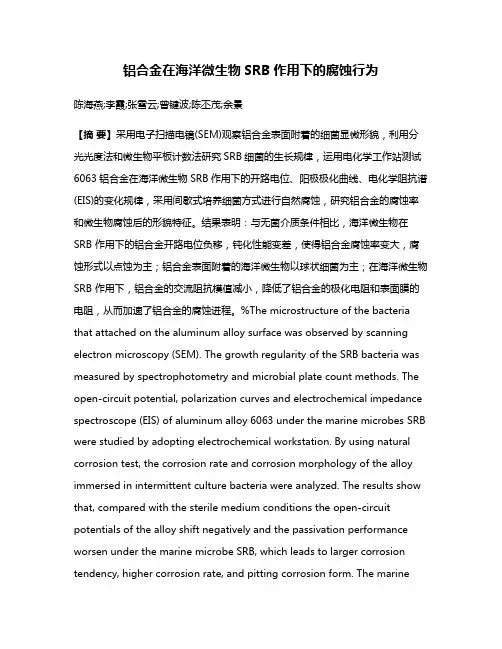 铝合金在海洋微生物SRB作用下的腐蚀行为