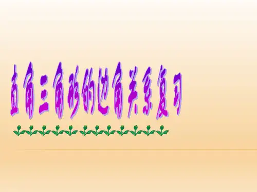 《直角三角形的边角关系》复习课件
