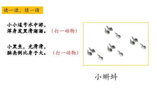 统编版二年级语文上册1.《小蝌蚪找妈妈》课件(共46张PPT)
