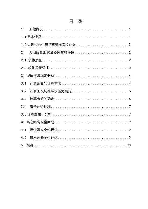【6】大坝工程结构安全评价报告