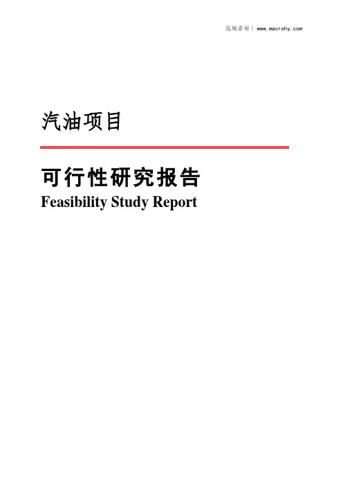 汽油项目可行性研究报告