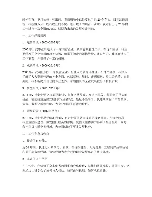 近20年个人工作总结