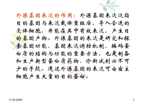 最新外源基因的原核表达PPT课件