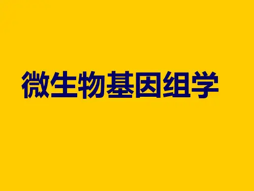 微生物基因组学