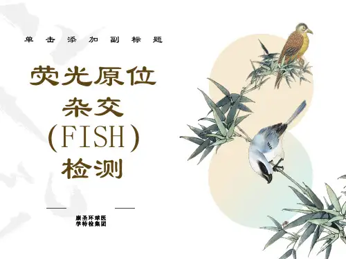 荧光原位杂交(FISH)检测