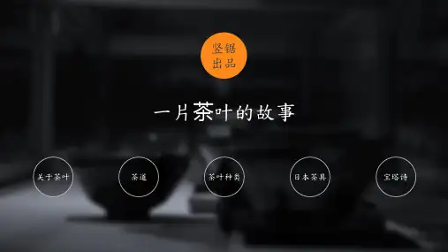 静态精选PPT模板(58)