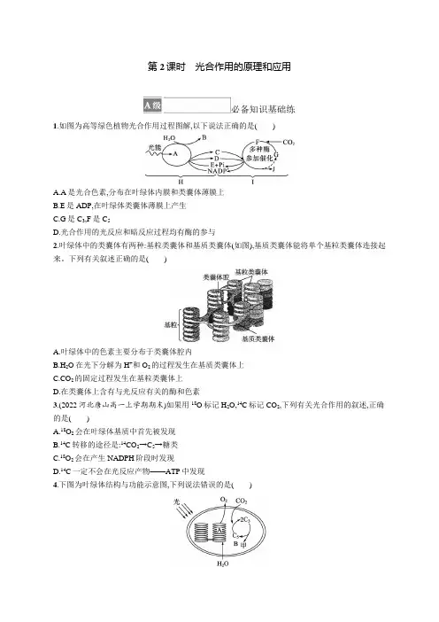 人教版(2019)高中生物必修一课后习题 第5章 第4节 第2课时 光合作用的原理和应用(含答案)
