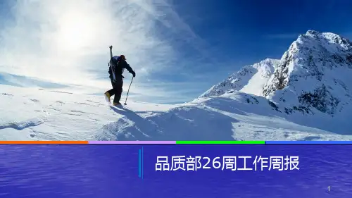 品质工作周报ppt课件