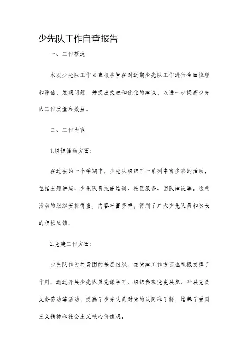 少先队工作自查报告
