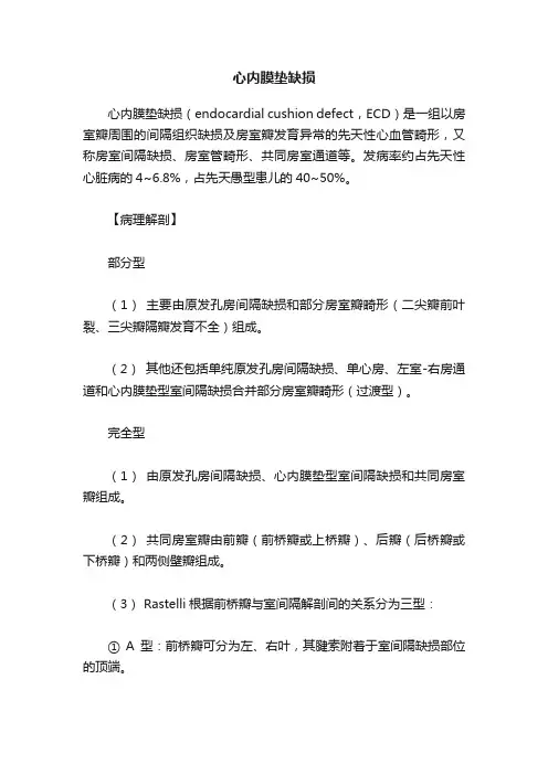 心内膜垫缺损