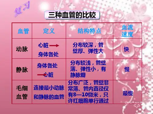 生物人教版七年级下册第四章第三节
