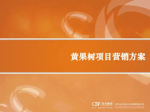 黄果树项目营销方案
