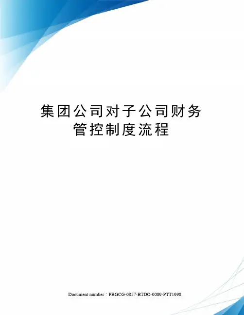 集团公司对子公司财务管控制度流程