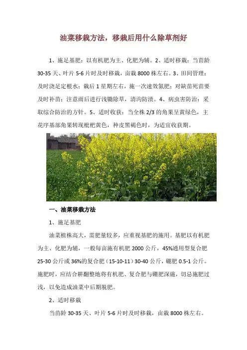 油菜移栽方法,移栽后用什么除草剂好