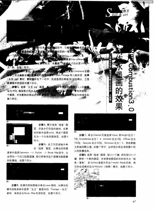 使用Combustion3.0制作水墨画的效果
