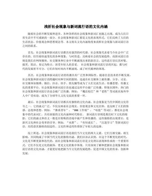 浅析社会现象与新词流行语的文化内涵