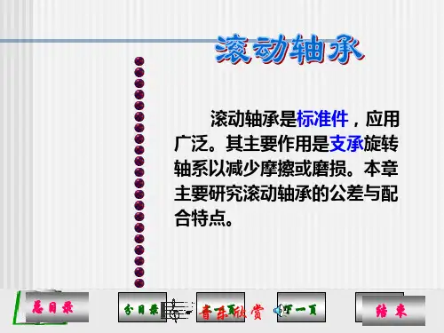 第六章 滚动轴承的公差与配合(wz)