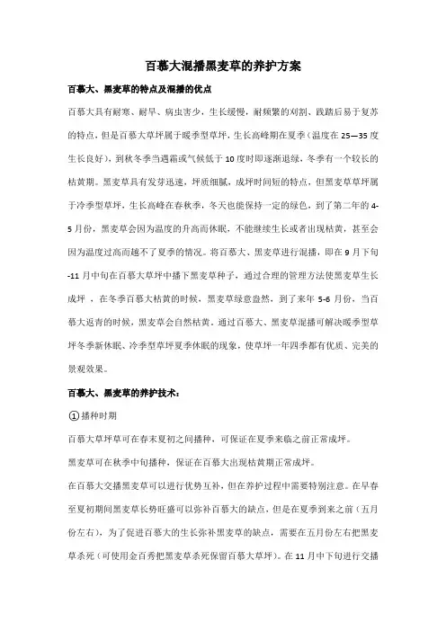 百慕大混播黑麦草的养护方案