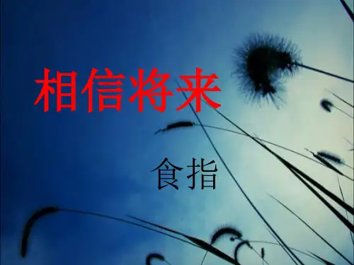 《相信未来》ppt课件(17页)