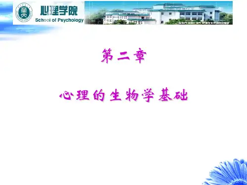 心理学基础第二章心理的生物学基础