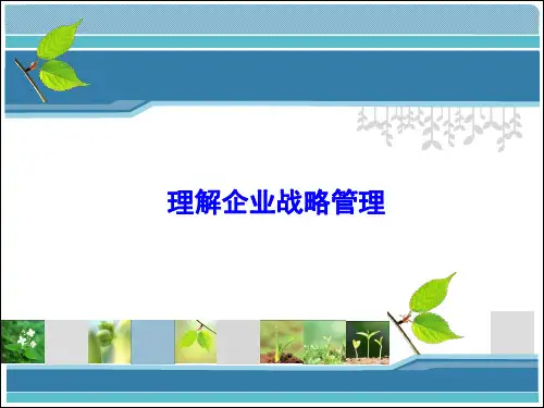 战略管理专题研究 (3)