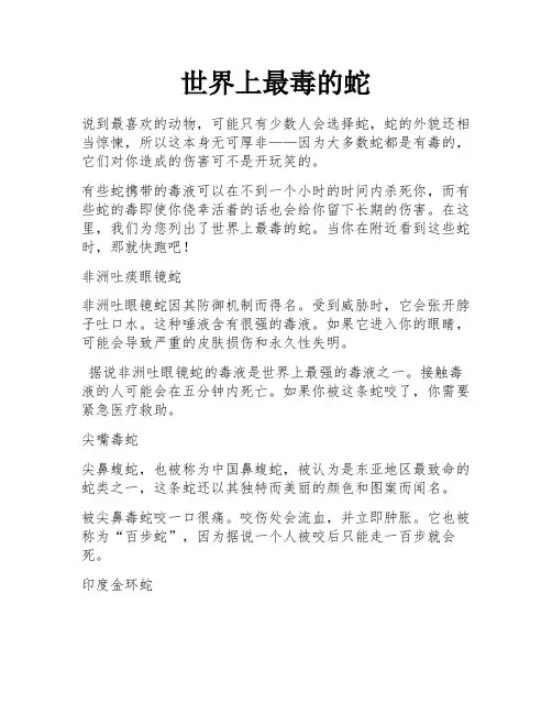 世界上最毒的蛇